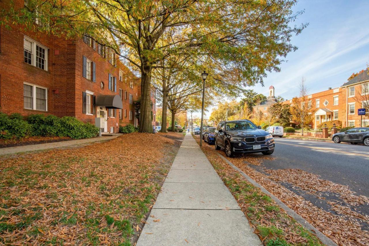 Old Town North 1Br W Rooftop Pool Nr Museums Wdc-762 Apartamento Alexandria Exterior foto